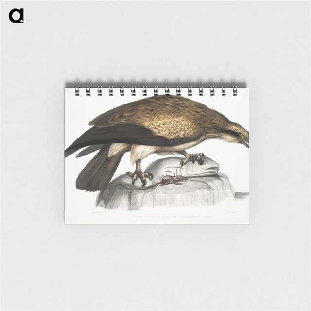 1-100_Indian-Zoology_memo