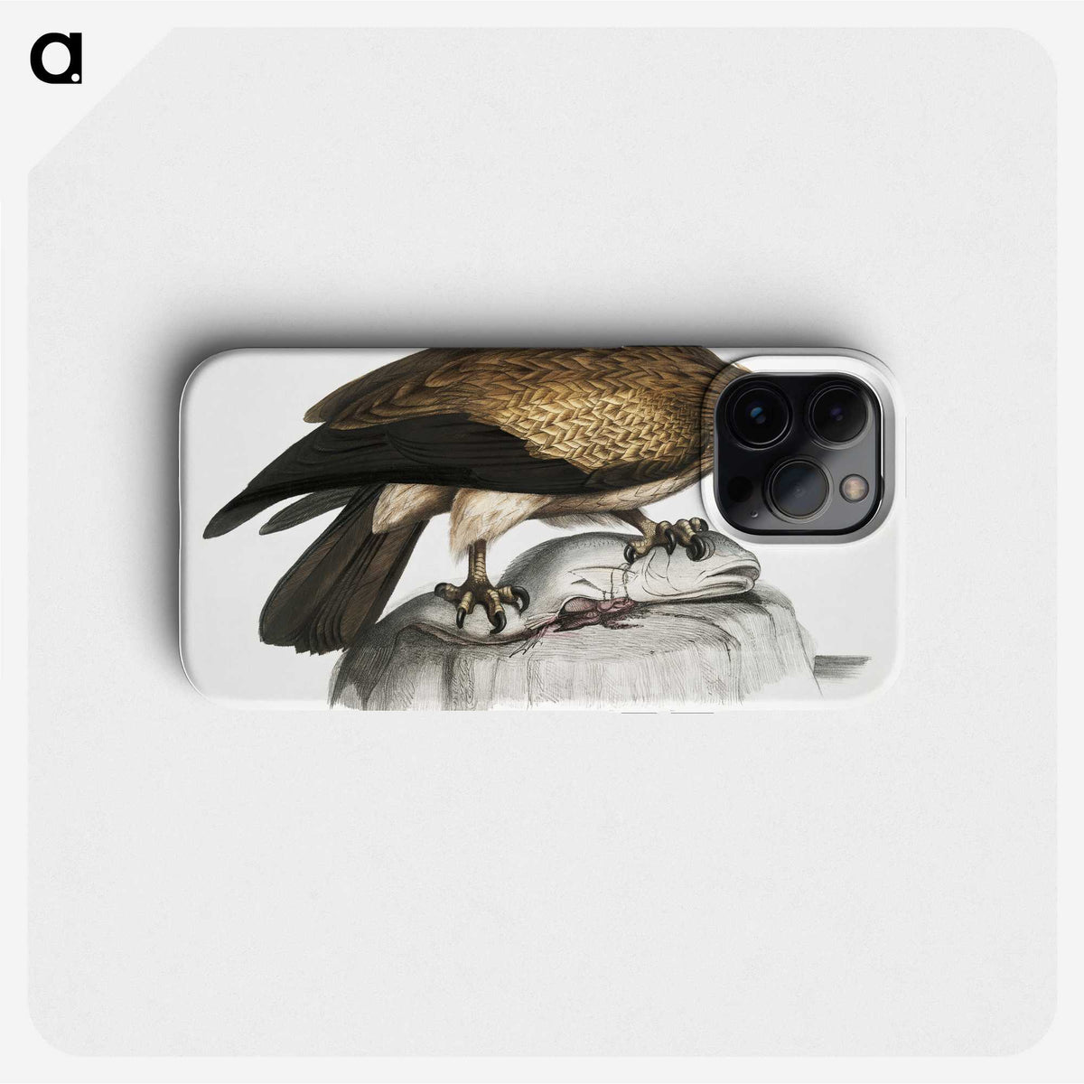 1-100_Indian-Zoology_phone