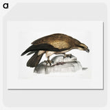 1-100_Indian-Zoology_picture