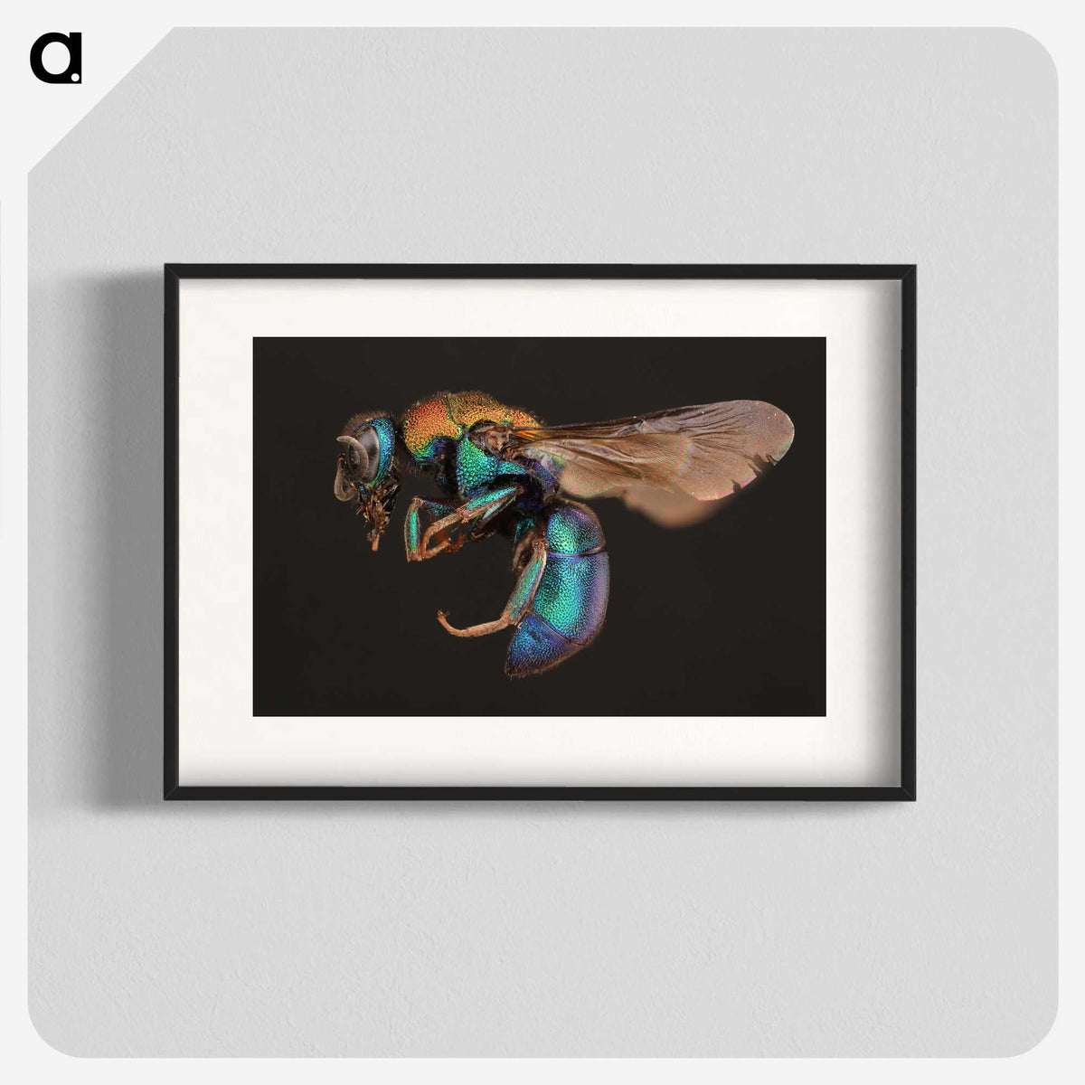 1-100_Insects-Unlocked-Project_blk