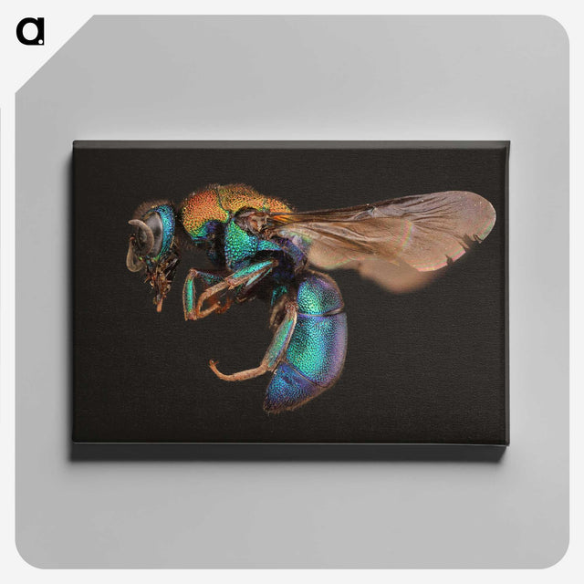1-100_Insects-Unlocked-Project_canvas
