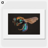1-100_Insects-Unlocked-Project_picture