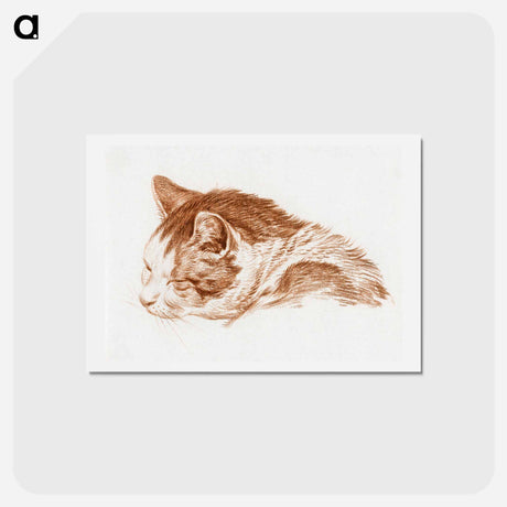 アートポストカード-Head of a sleeping cat - ジャン ベルナール Postcard.