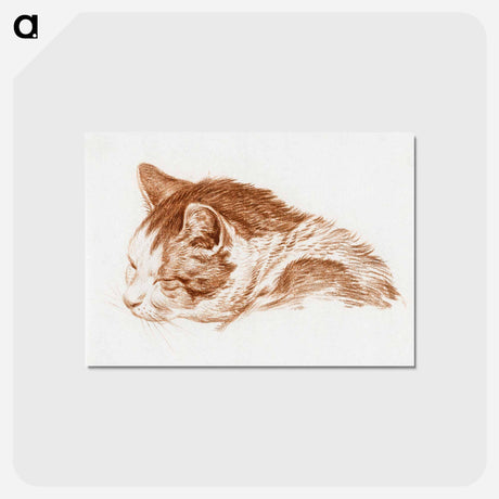アートポストカード-Head of a sleeping cat - ジャン ベルナール Postcard.