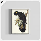 1-100_John-Gould_blk-crop