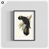 1-100_John-Gould_blk