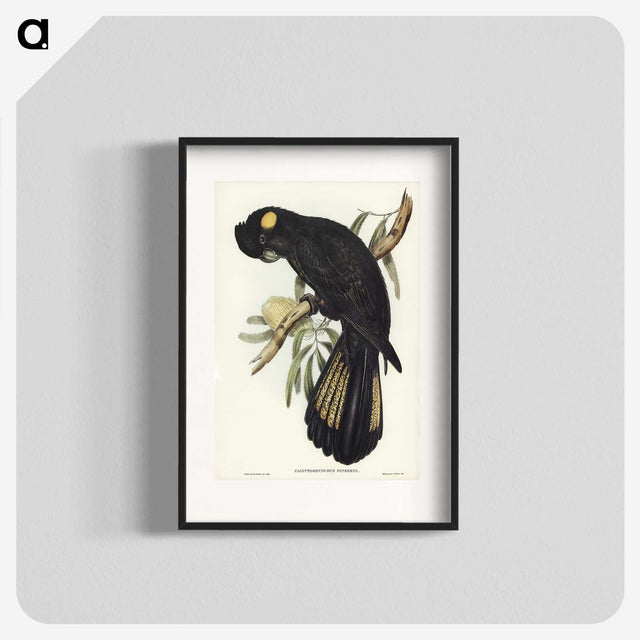 1-100_John-Gould_blk