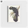 1-100_John-Gould_memo