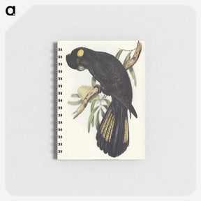 1-100_John-Gould_memo