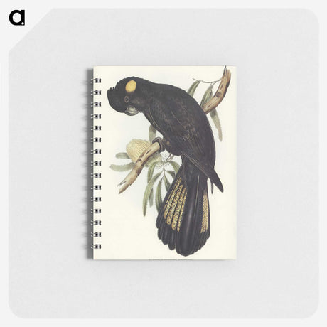 1-100_John-Gould_memo