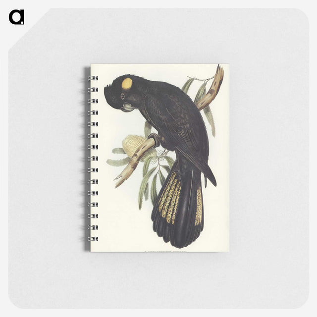 1-100_John-Gould_memo