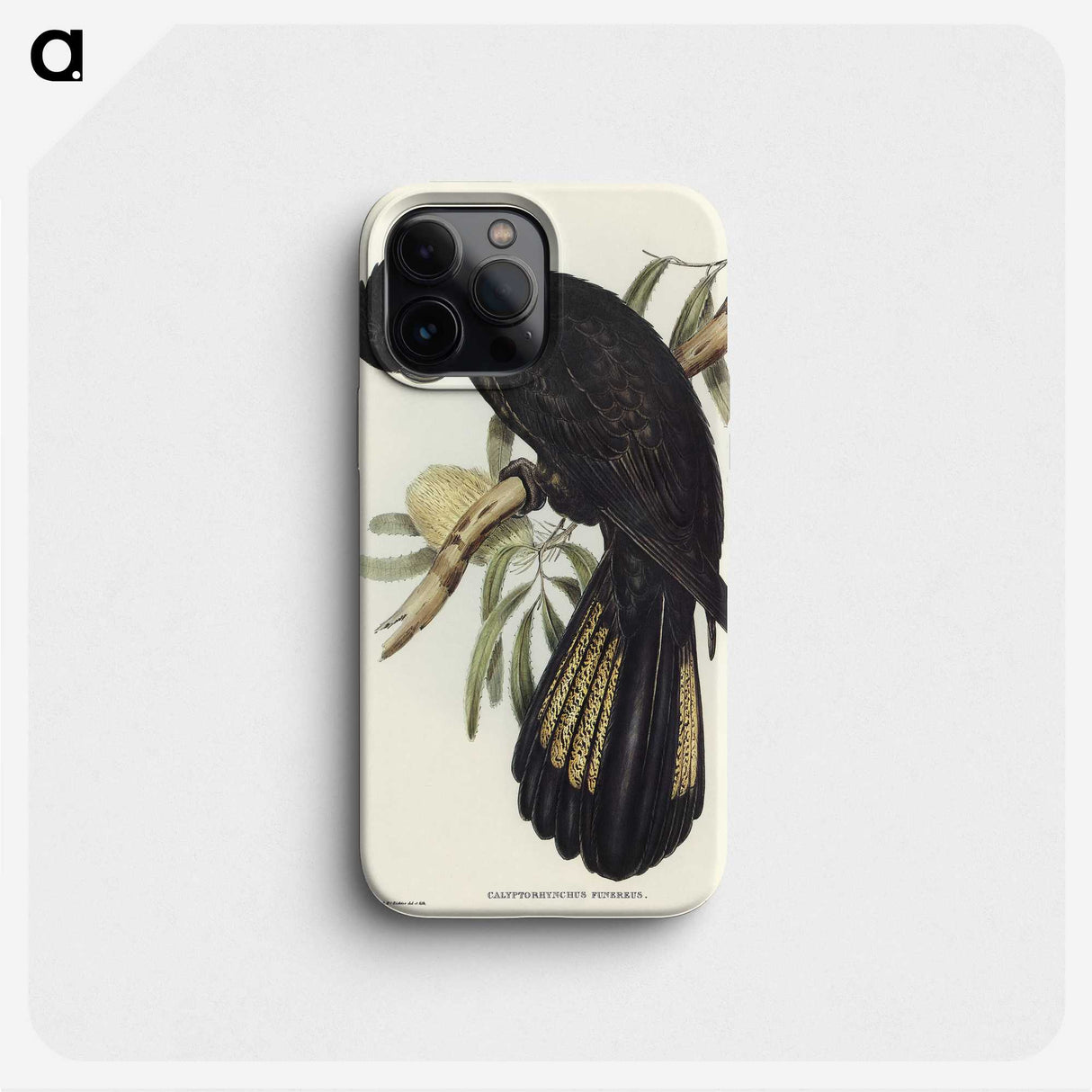 1-100_John-Gould_phone