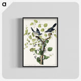 1-100_John-James-Audubon_blk-crop