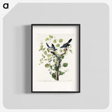 1-100_John-James-Audubon_blk