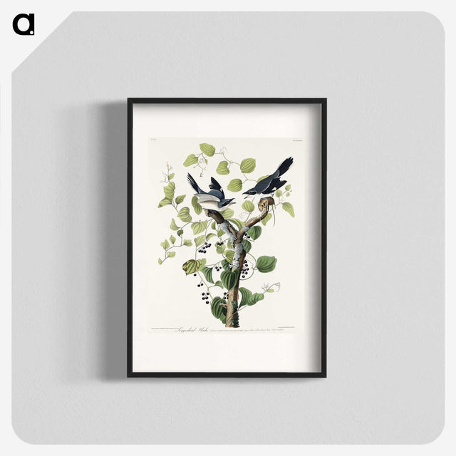 1-100_John-James-Audubon_blk