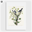 1-100_John-James-Audubon_picture