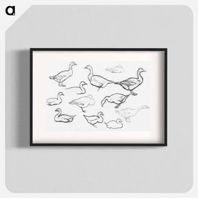 アートポスター-Study sketch of geese - ユリー デ フラーハ Poster.