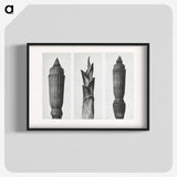 1-100_Karl-Blossfeldt_blk