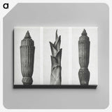 1-100_Karl-Blossfeldt_canvas