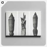 Equisetum Hiemale (Winter Horsetail) enlarged 12 times, Hosta Japonica (Savannah–Wood) enlarged 4 times, and Equisetum Hiemale (Winter Horsetail) enlarged 12 times from Urformen der Kunst by. - カール ブロスフェルト Canvas.