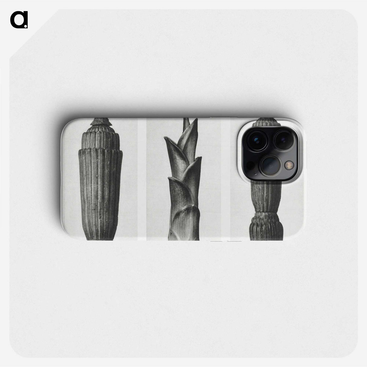1-100_Karl-Blossfeldt_phone