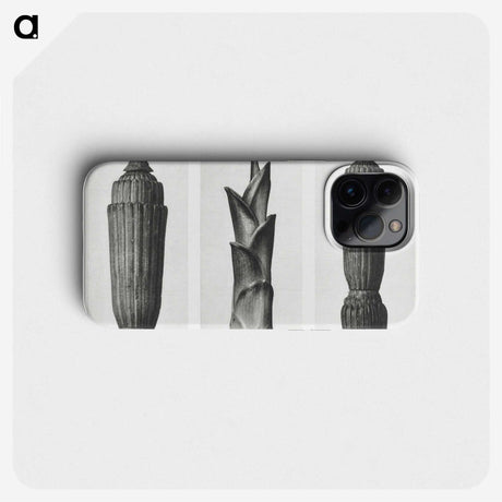 1-100_Karl-Blossfeldt_phone
