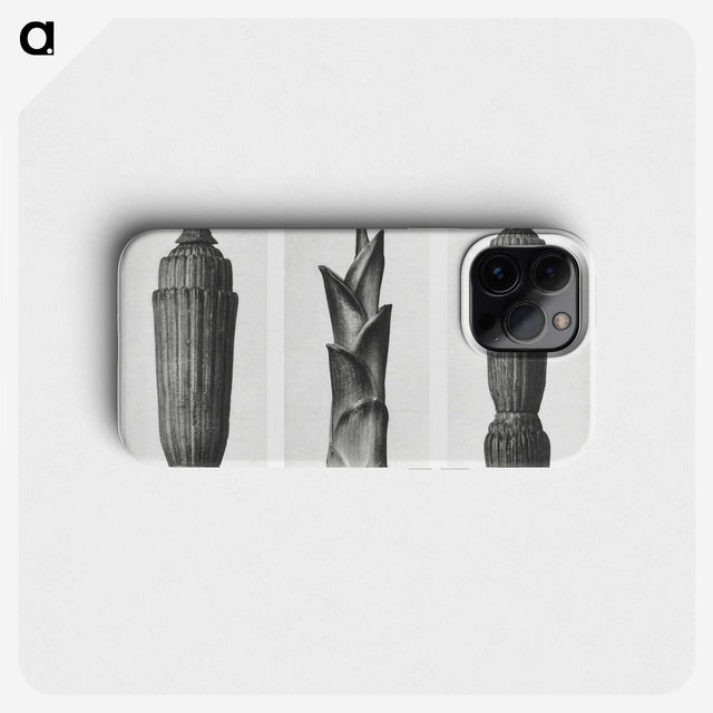 1-100_Karl-Blossfeldt_phone