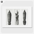 1-100_Karl-Blossfeldt_picture