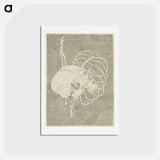 アートポストカード-Hokusai's Skull Rib Cage Macabre - 葛飾 北斎 Postcard.
