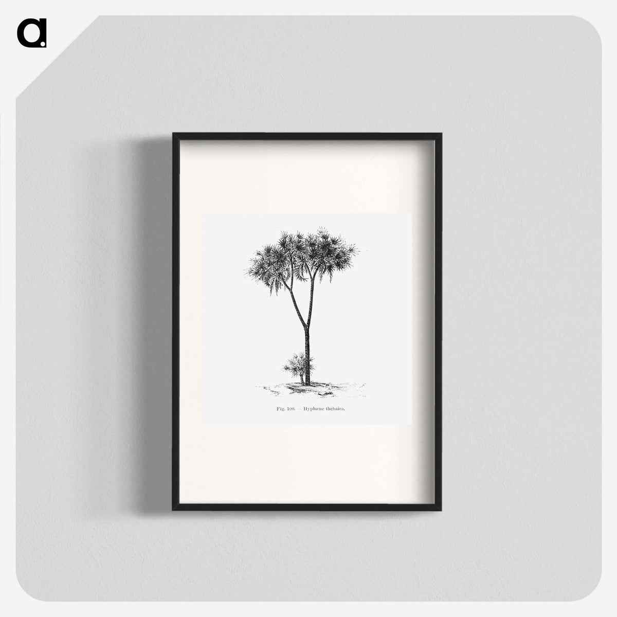 1-100_Les-Palmiers-Histoire-Iconographique_blk