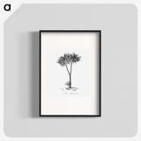1-100_Les-Palmiers-Histoire-Iconographique_blk