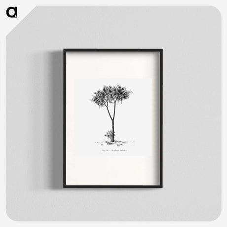 1-100_Les-Palmiers-Histoire-Iconographique_blk