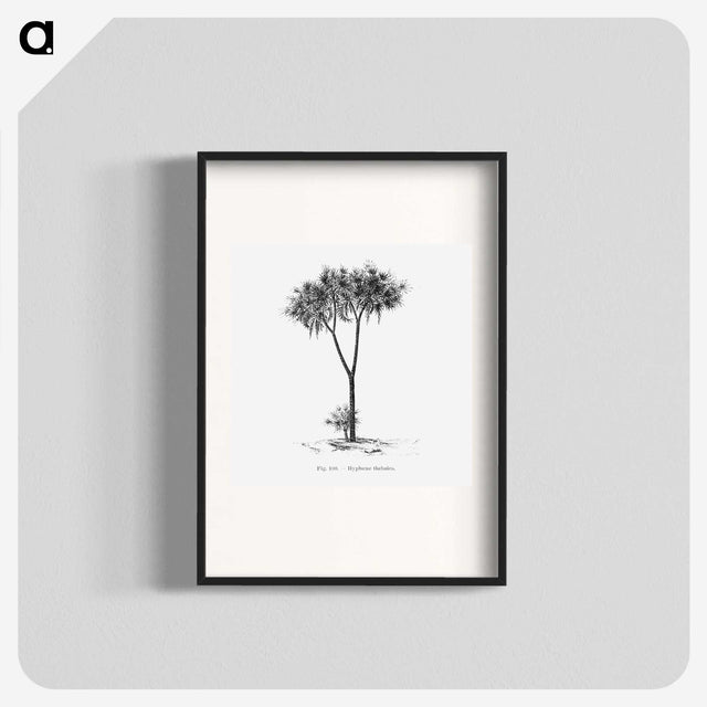 1-100_Les-Palmiers-Histoire-Iconographique_blk