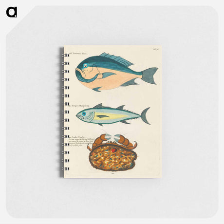 アートメモ帳-Moluccan Sea Creatures
 - ルイ ルナール Memo.