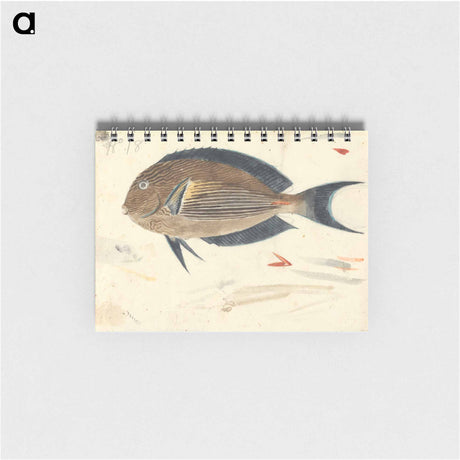 アートメモ帳-A Fish
 - ルイージ バルガーニ Memo.