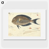 1-100_Luigi-Balugani_picture
