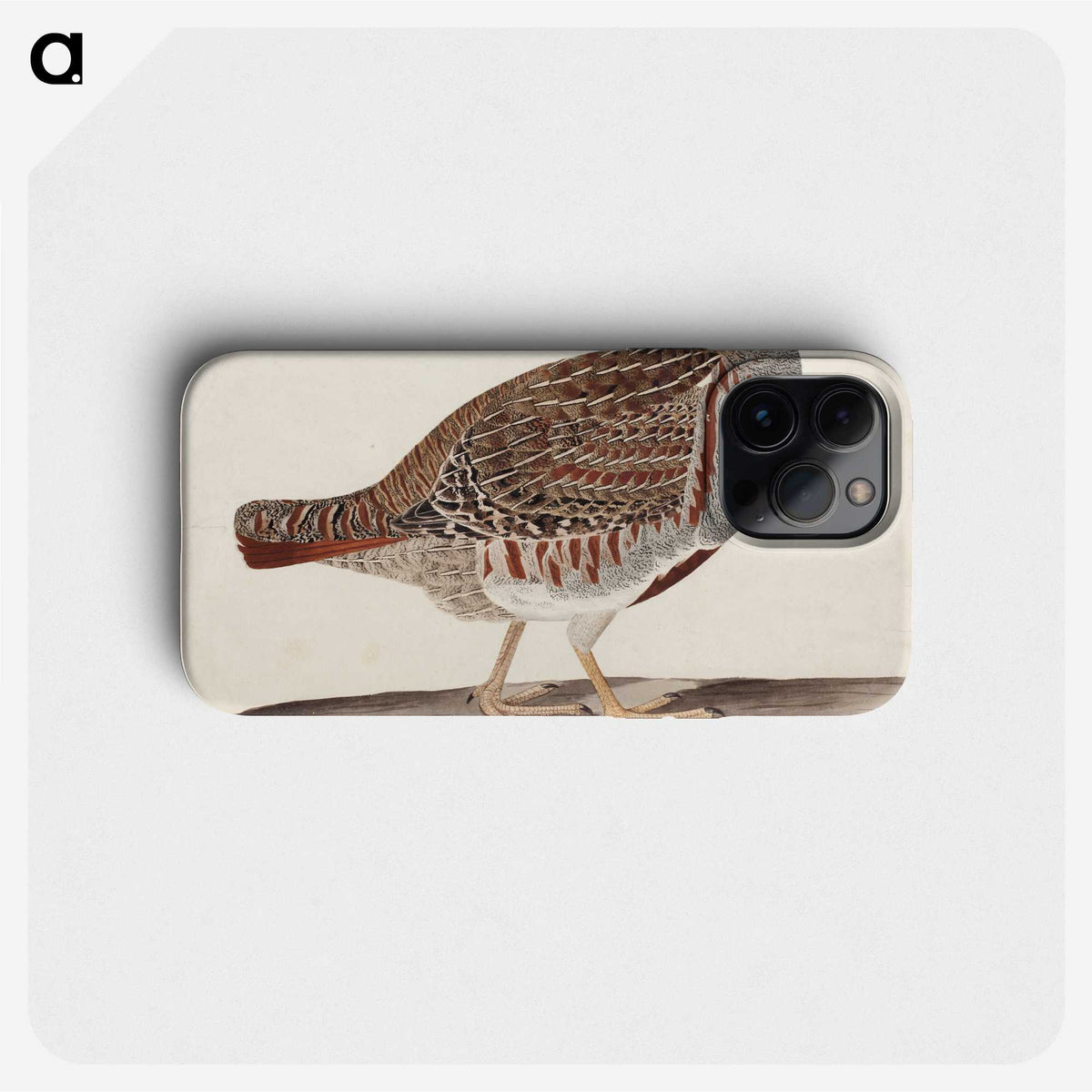 1-100_Magnus-von-Wright_phone