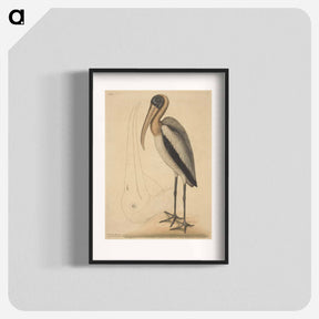 アートポスター-The Wood Pelican
 - マーク ケイツビー Poster.