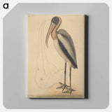 アートパネル-The Wood Pelican
 - マーク ケイツビー Canvas.
