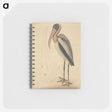 1-100_Mark-Catesby_memo