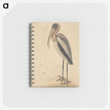 1-100_Mark-Catesby_memo