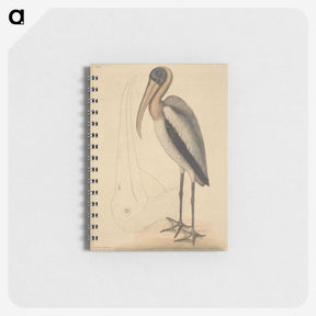 1-100_Mark-Catesby_memo