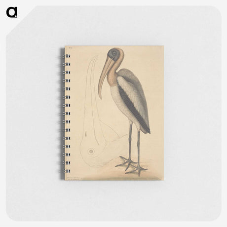 1-100_Mark-Catesby_memo