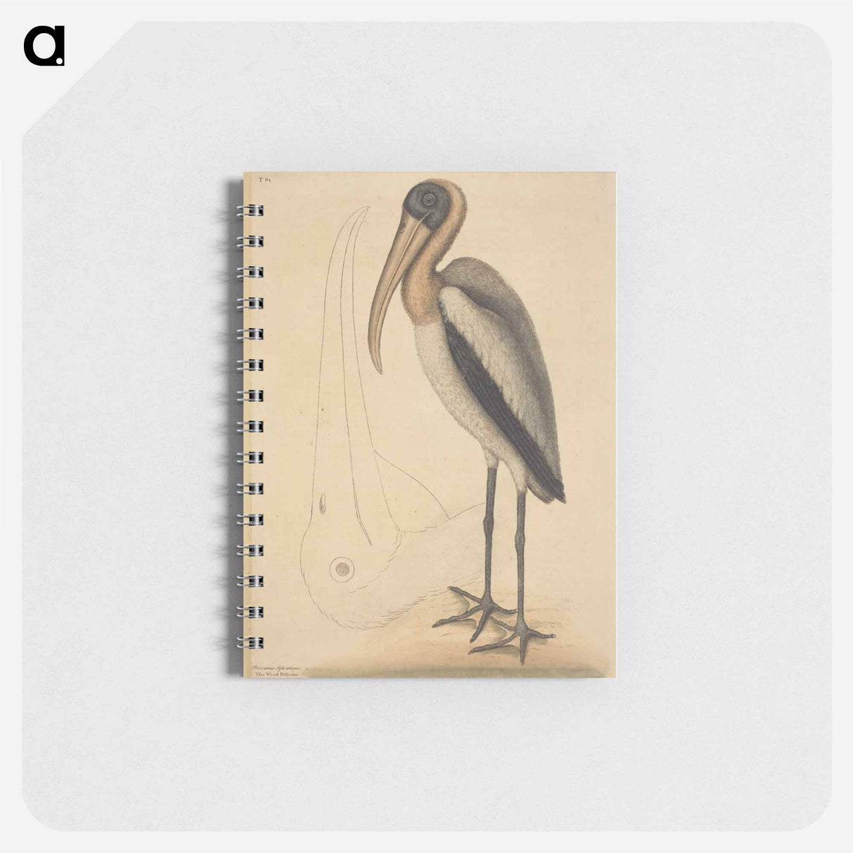 アートメモ帳-The Wood Pelican
 - マーク ケイツビー Memo.