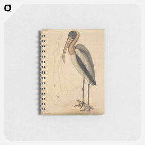 アートメモ帳-The Wood Pelican
 - マーク ケイツビー Memo.