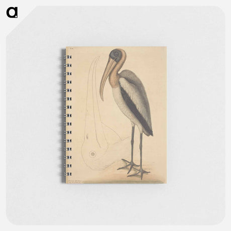 アートメモ帳-The Wood Pelican
 - マーク ケイツビー Memo.