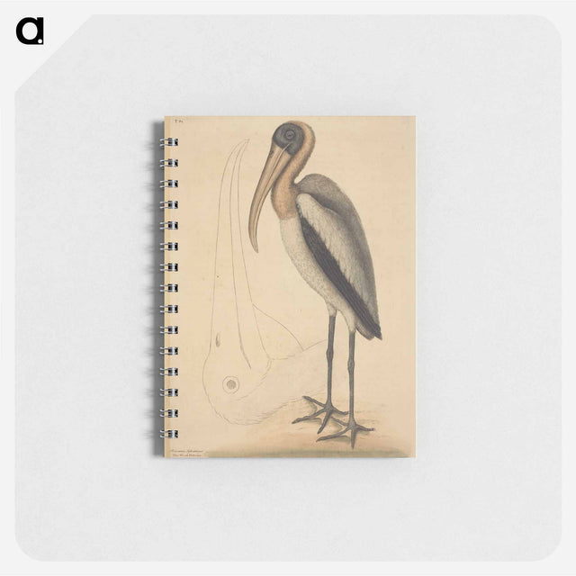 アートメモ帳-The Wood Pelican
 - マーク ケイツビー Memo.