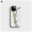 1-100_Mary-Vaux-Walcott_phone
