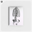 アートメモ帳-Torso: Engraved Skeleton - 国立医学図書館 Memo.