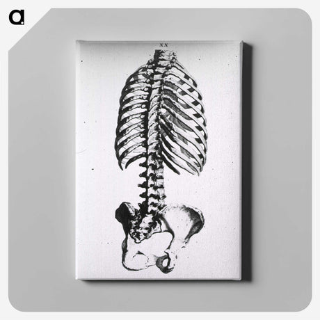 1-100_National-Library-of-Medicine_canvas